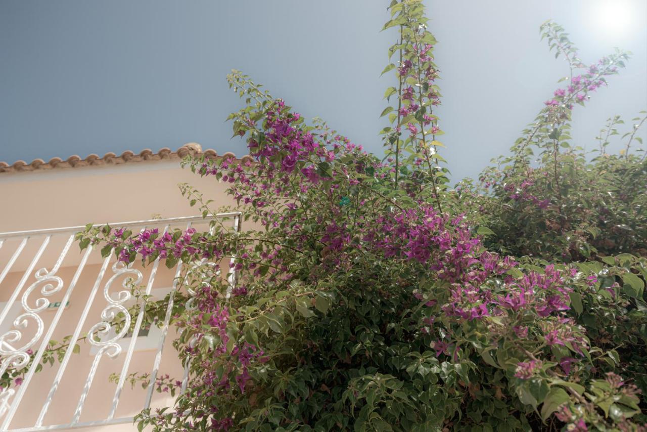 Ecoresort Hotel Zefyros Áyios Kírikos Exterior foto