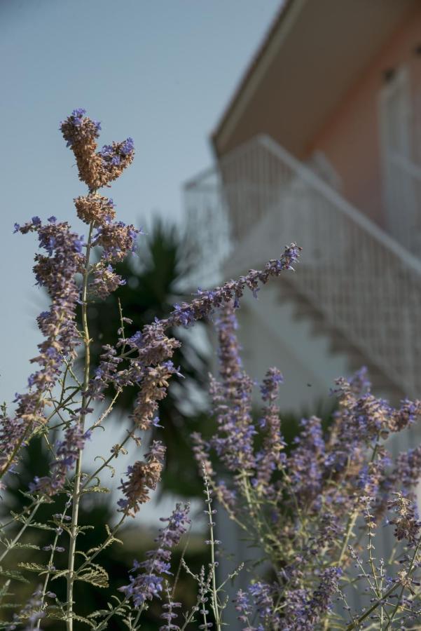 Ecoresort Hotel Zefyros Áyios Kírikos Exterior foto