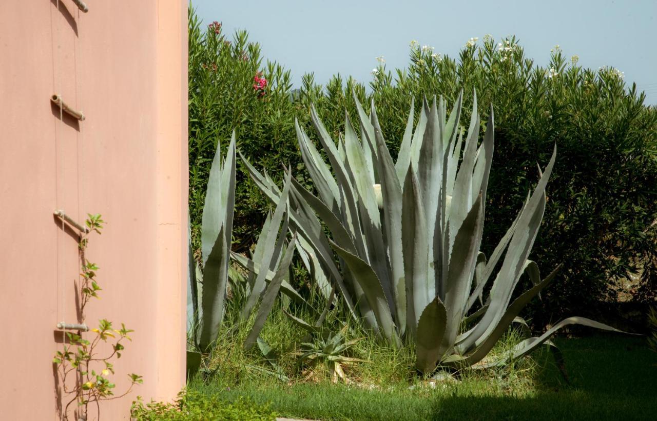 Ecoresort Hotel Zefyros Áyios Kírikos Exterior foto